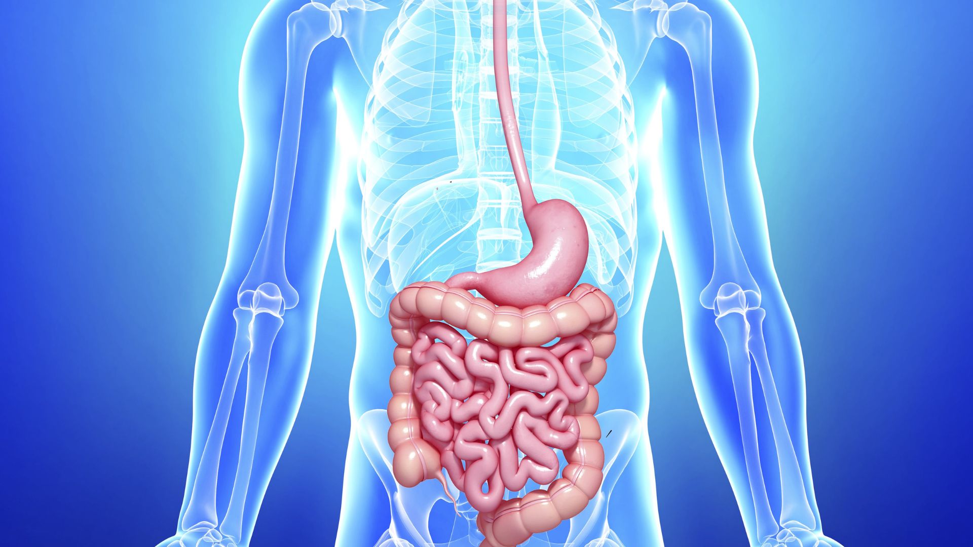 Biorezonans ile Sindirim Sistemi Tedavisi